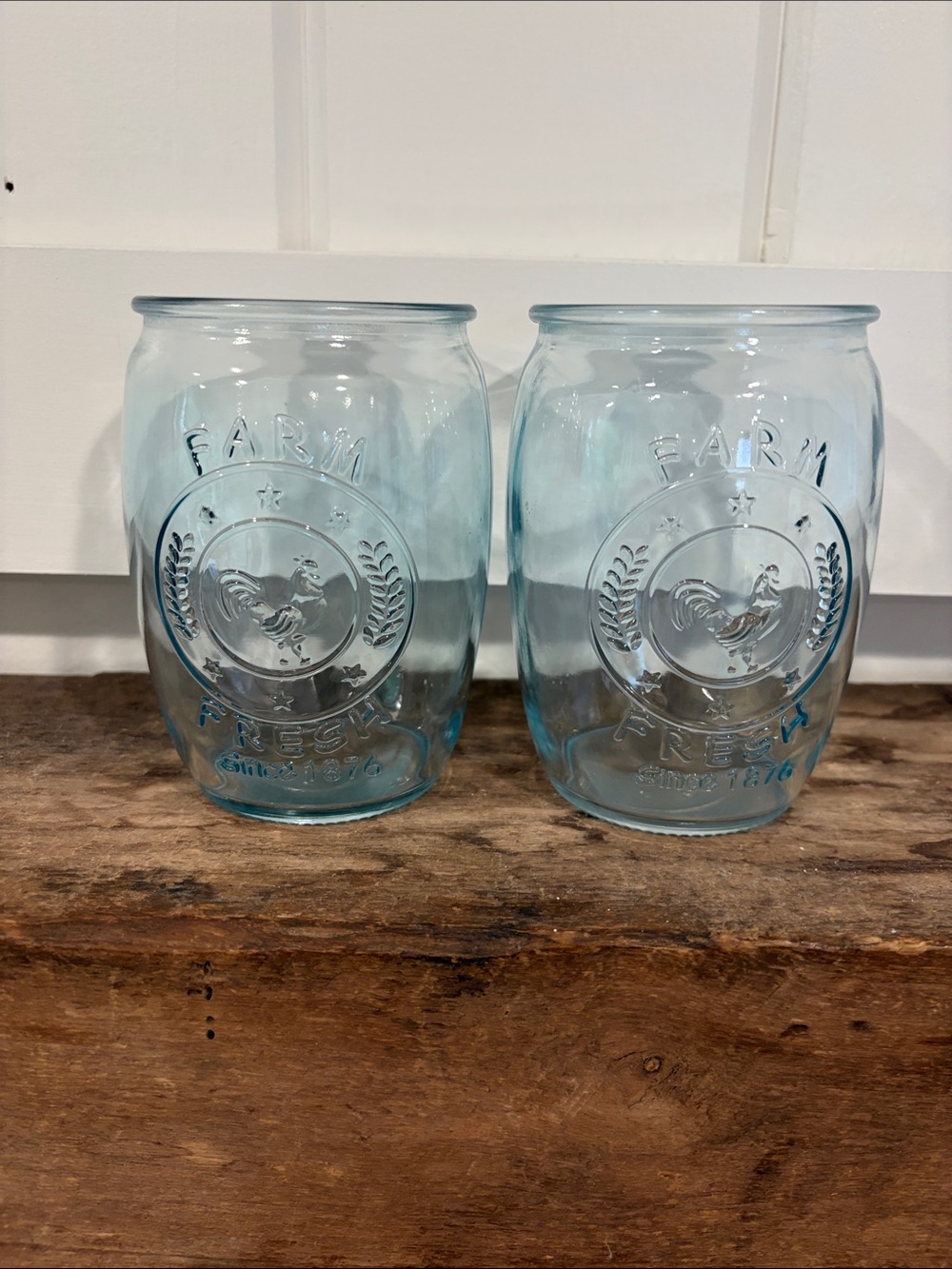 Blue Farm Fresh Embossed Glass Tumbler Set - 2 Pack